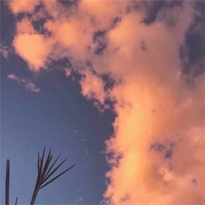 果盘联盟契约手游下载