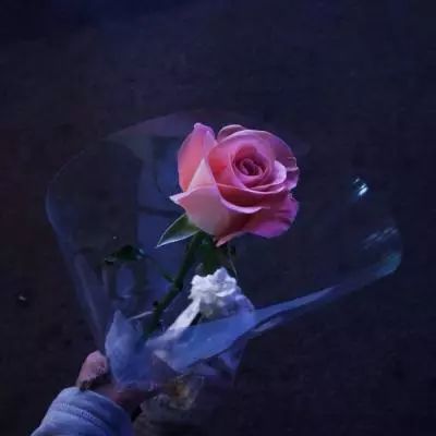 果盘众神变态版下载